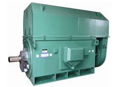 昆都仑Y系列6KV高压电机